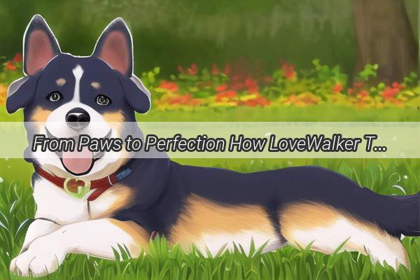 From Paws to Perfection How LoveWalker Transformed My Canine Companions Lives